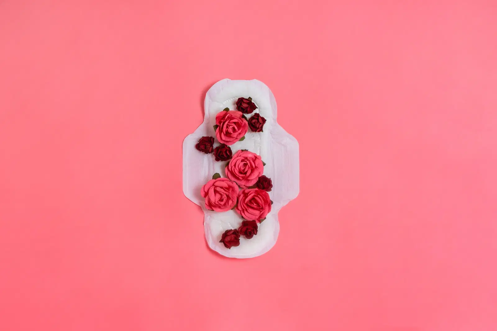 O que é a menstruação?