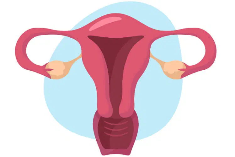 Tratamento e acompanhamento das displasias cervicais (NICS)