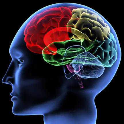 NEUROCIRURGIA GERAL