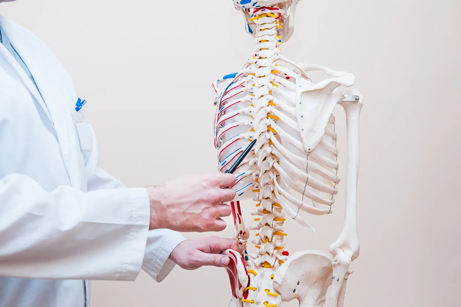 Trauma raquimedular: o que é, causas, sintomas e quais cuidados devem ser tomados?