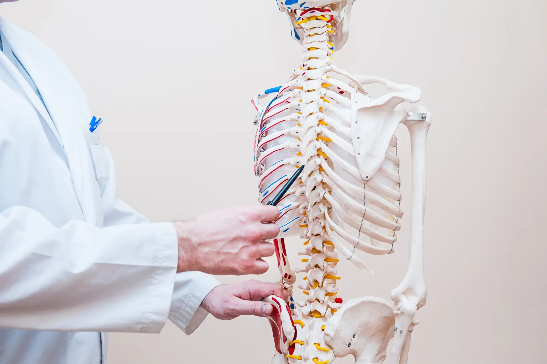 Trauma raquimedular: o que é, causas, sintomas e quais cuidados devem ser tomados?