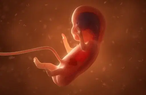 Aborto: Informações e Esperança!
