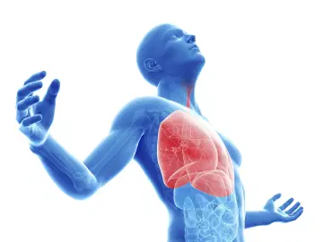 O processo da respiração pulmonar