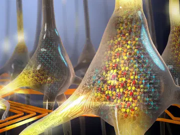 Neurônios artificiais funcionam tão bem quanto os biológicos?