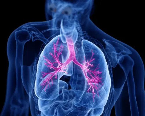 Dia Nacional de Conscientização e Divulgação da Fibrose Cística: você conhece essa doença?