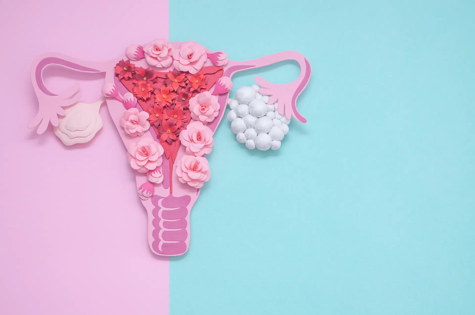 Hormônios femininos: o que são, para que servem e como atuam no corpo da mulher?