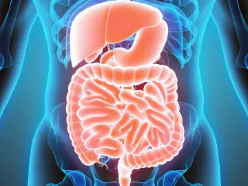 O que é gastroenterite?