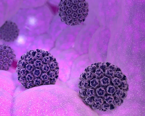 Tudo o que você precisa saber sobre o HPV