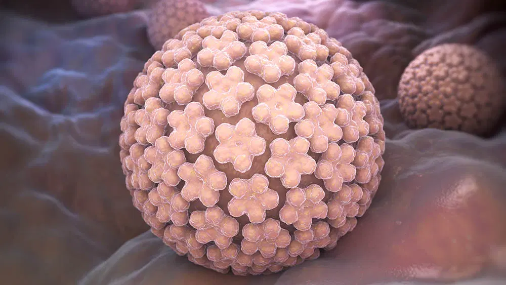 HPV