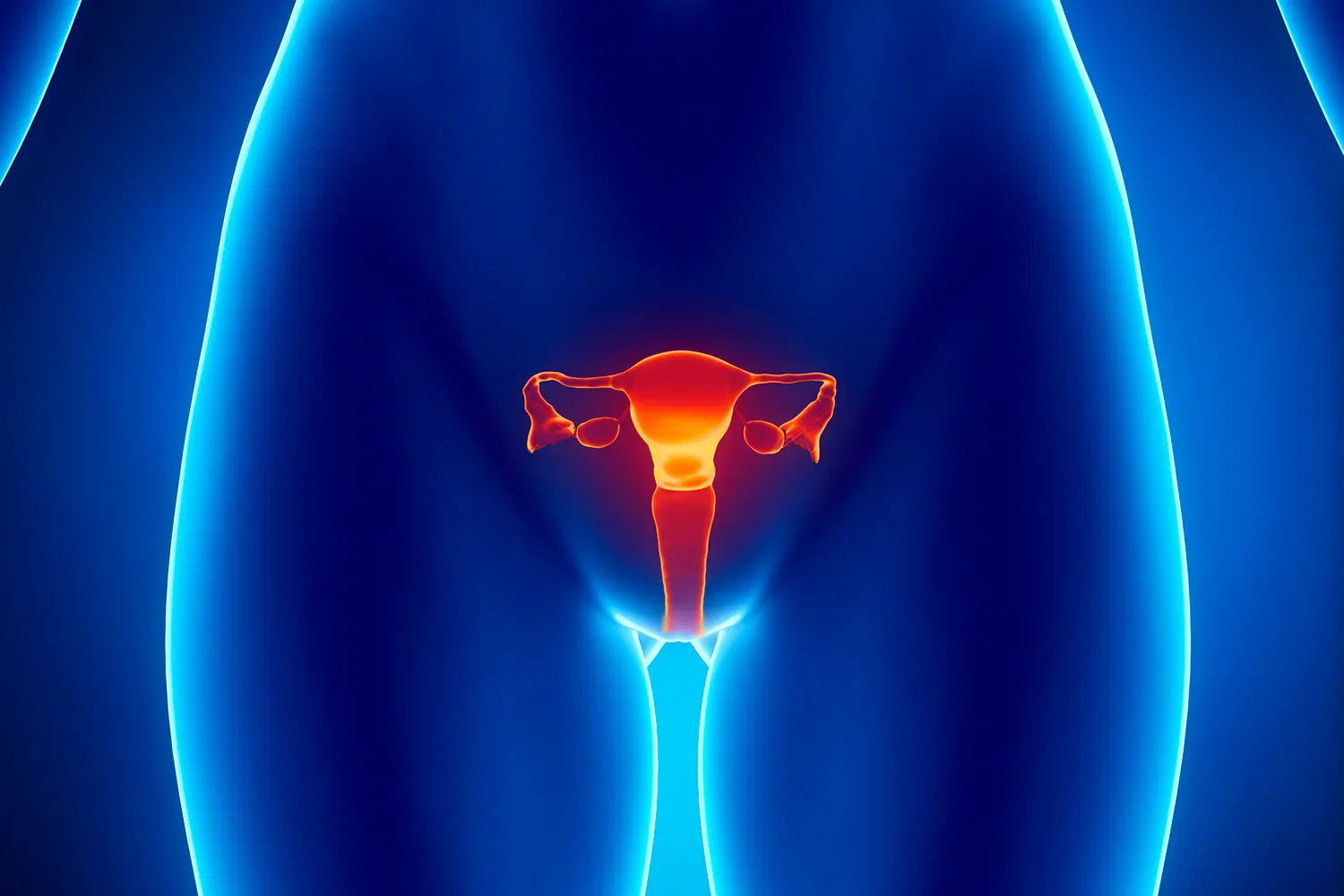 Vulvovaginite: o que causa essa inflamação? Qual é o melhor tratamento?