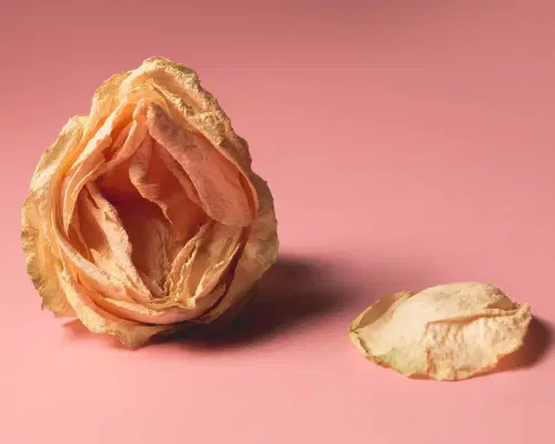 Vaginose bacteriana: o que é?