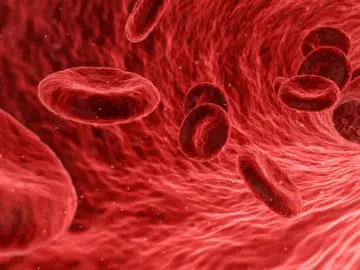 Novo exame de sangue abre caminhos para diagnóstico de câncer