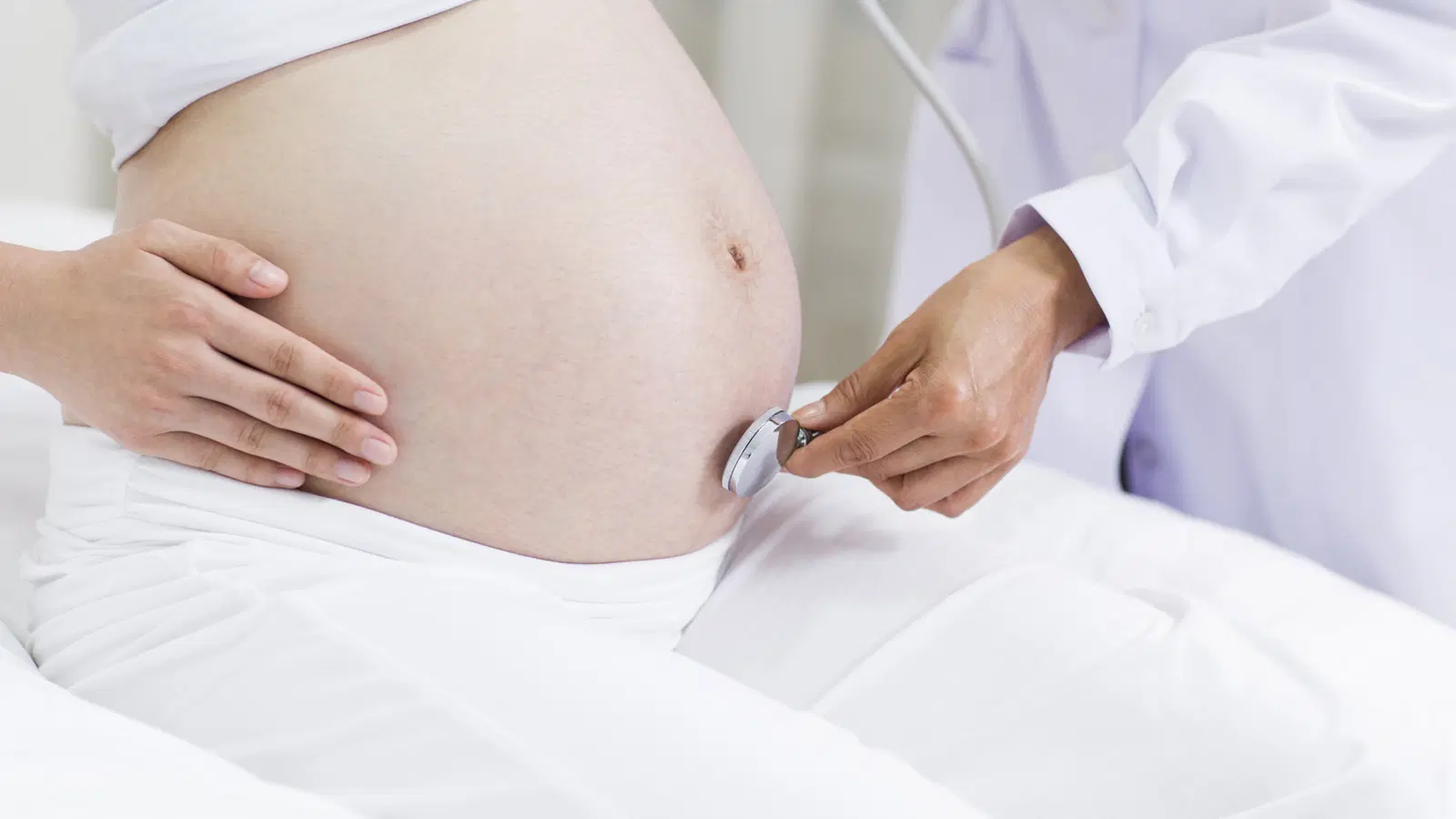 Obstetrícia — Vânia Magalhães Reis