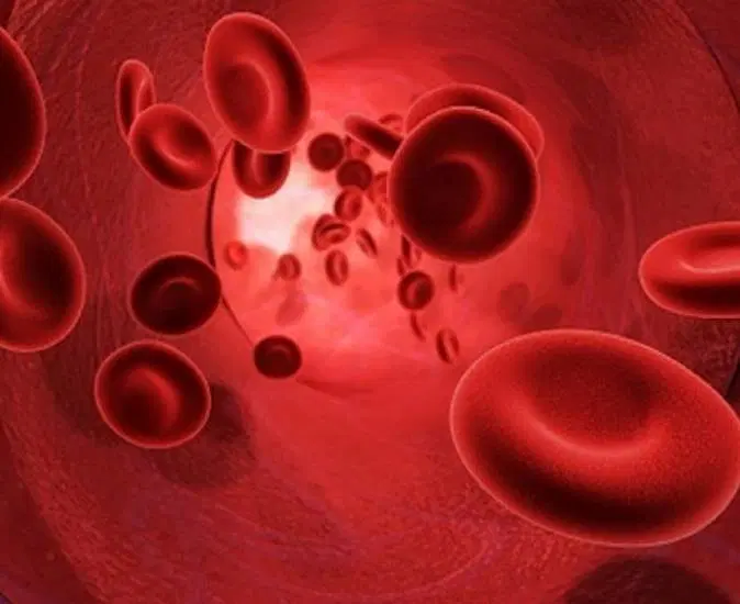 Como prevenir a anemia ferropriva em crianças?