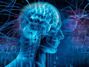 O que é neuroendocrinologia?