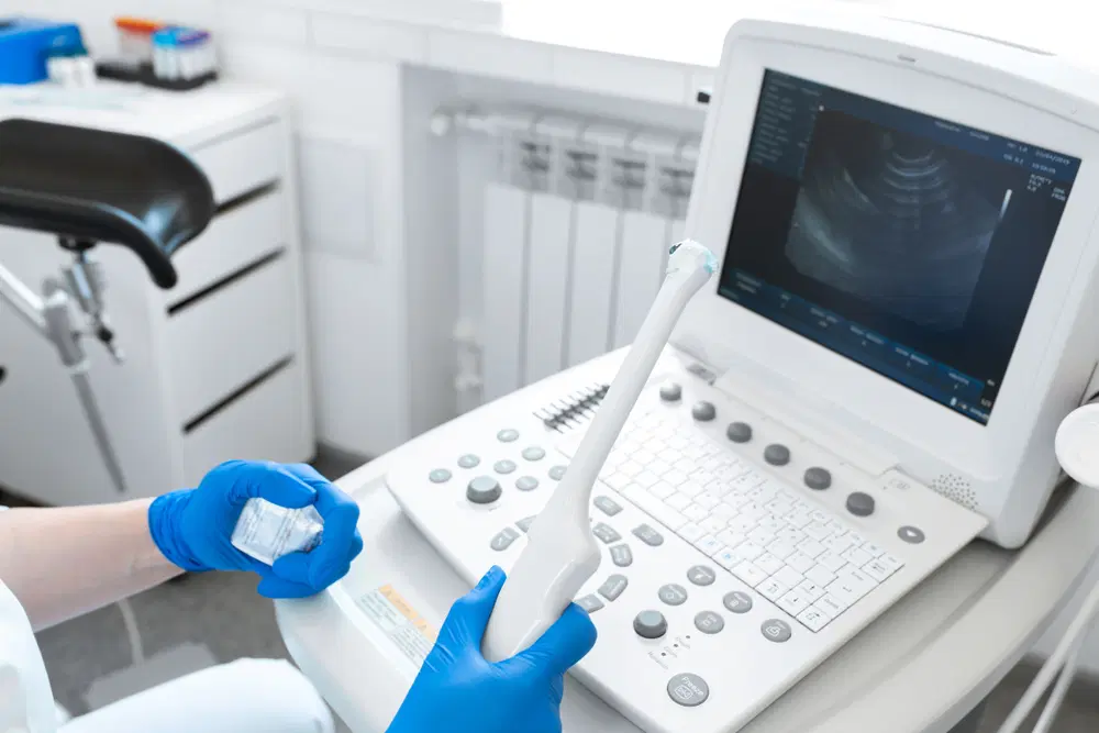 Ultrassom transvaginal: quando é necessário realizar esse exame?